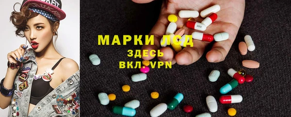 PSILOCYBIN Балабаново