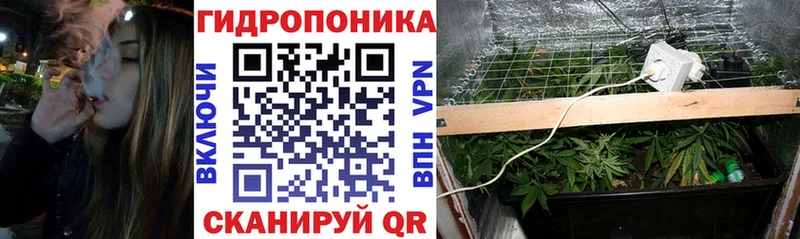 MEGA ССЫЛКА  Торжок  Шишки марихуана семена  наркотики 